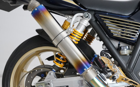 KAWASAKI ZRX1200 DAEG 2019 ZRT20D