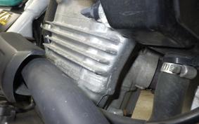 HONDA XL DEGREE 2025 MD26
