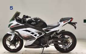KAWASAKI NINJA 250 ABS EX250L