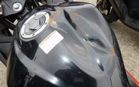 KAWASAKI NINJA 250 EX250L