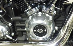 HARLEY FXST1750 2024