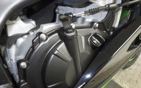 KAWASAKI ZX-4RR 2023 ZX400P