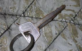 YAMAHA MAJESTY 250 C SG03J