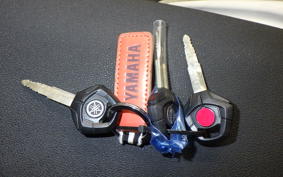 YAMAHA TENERE 700 2022 DM13J