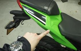 KAWASAKI NINJA 250 EX250L