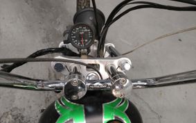 YAMAHA VIRAGO 250 Trike 3DM