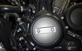 HARLEY ﾊﾟﾝ AMERICA1250S 2024