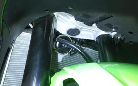 KAWASAKI NINJA ZX-6R A 2025 ZX636J