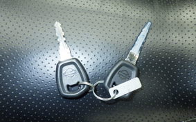 HARLEY XG750 STREET ROD 2020