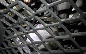 OTHER CAN-AM SPIDER RT LIMITED 2014