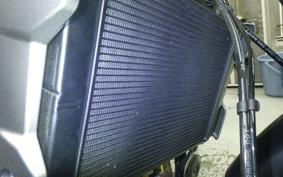 TRIUMPH TRIDENT 660 2026