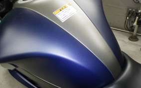 SUZUKI ｼﾞｸｻｰ250 2020 ED22Y