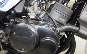 YAMAHA RZ 250 2019 4L3