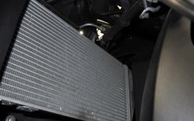 YAMAHA YZF R-3 2021 RH13J