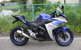 YAMAHA YZF-R25 RG10J