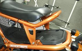 HONDA ZOOMER AF58