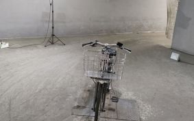 OTHER DENDOU ASSIST JI TON  CAR  PANASONIC TIMO ..