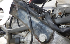 HONDA ZOOMER AF58