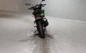 KAWASAKI Z250 SL BR250E