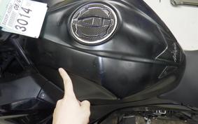 KAWASAKI NINJA 250 2 2017 EX250P