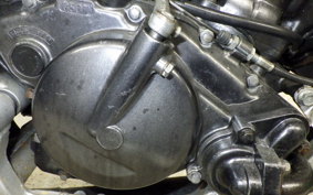 SUZUKI WOLF 200 2023 NH11A