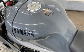 YAMAHA XSR900 GP 2024 RN96J
