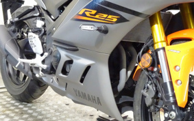 YAMAHA YZF-R25 RG74J