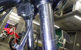 OTHER +ENFIELD ﾒﾃｵ350 2024