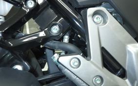 SUZUKI V-STROM 250 A
