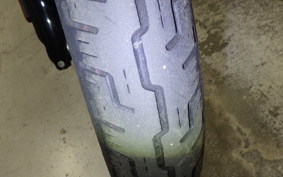 HARLEY FXBB1750 2019