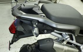 TRIUMPH TIGER 1200 RALLY 2024