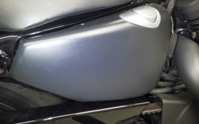 HARLEY XL1200NS 2021