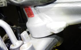 HONDA VTR 250 Gen. 2 MC33