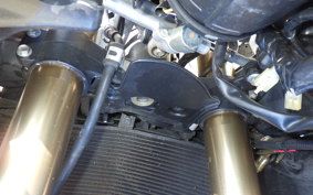 SUZUKI GSX-R1000 2009