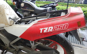 YAMAHA TZR250 1KT