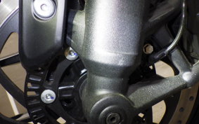 TRIUMPH SPEED400 2024