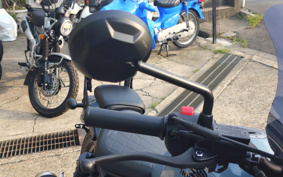 HONDA REBEL 250 S-ED E-CLUTCH MC49