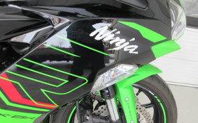 KAWASAKI NINJA ZX-6R 2023 ZX636G