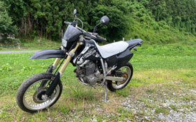 KTM 690 ENDURO R 2017 LET40