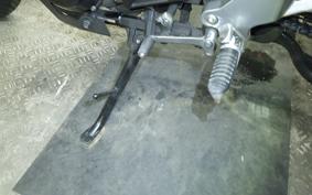 SUZUKI Vｽﾄﾛｰﾑ250 2001