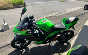 KAWASAKI NINJA 250 EX250P