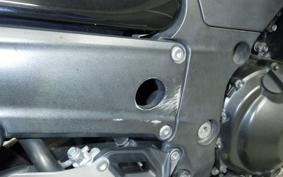 KAWASAKI ZX 1400 NINJA 2010