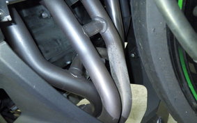 KAWASAKI NINJA 1000 SX 2023 ZXT02K