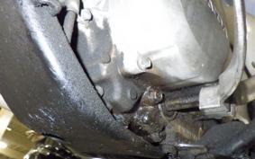 HONDA LITTLE CUB 2021 AA01