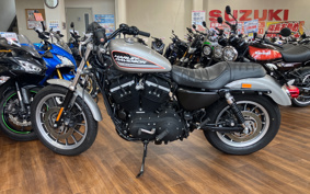 HARLEY XL883R 2007 CS2