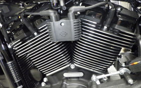 HARLEY FXLRST1920 2025