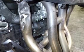 KAWASAKI Z900 Gen.2 2019 ZR900B