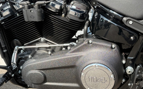 HARLEY FXFBS 2025 YLK