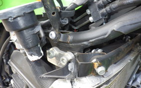 KAWASAKI NINJA 250 ABS EX250L