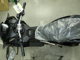 Фото Honda ADV160 с японского аукциона